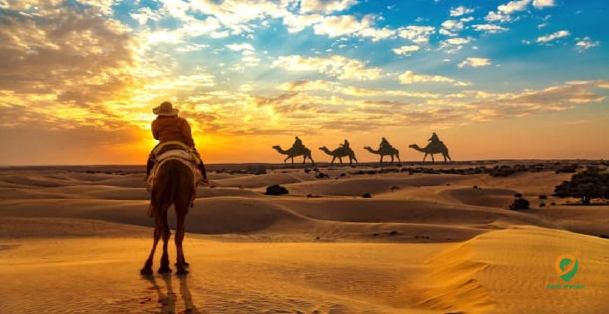 Rajasthan Royal Tour